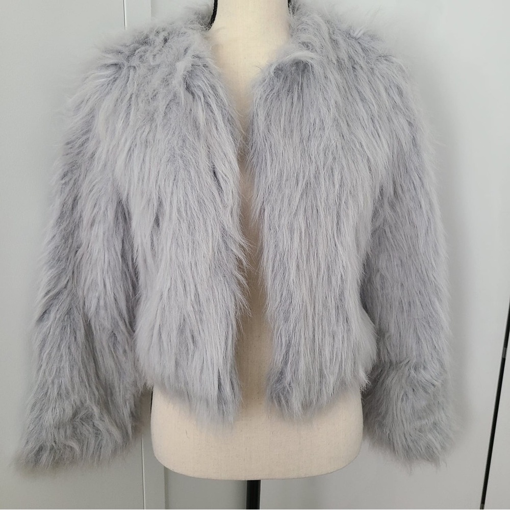 Beautiful Zara Faux Fur Jacket